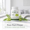 AMVLA Amra Capsules 1500mg - High-Efficacy Fruit Extract |Anti-Aging, regulates