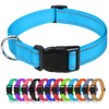 TagME Reflective Nylon Dog Collars, Adjustable Classic Dog Collar with