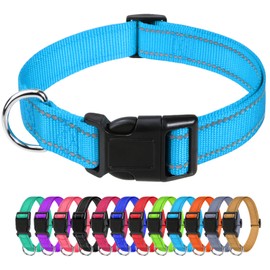 TagME Reflective Nylon Dog Collars, Adjustable Classic Dog Collar with Quick Release Buckle for Puppy, Sky Blue, 3/8" Width