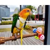 DS. DISTINCTIVE STYLE Bird Perch Stand Toy with Rotatable Balls,