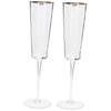NOLITOY 2pcs Elegant Crystal Flutes for Wedding Toasting Unique Hammered