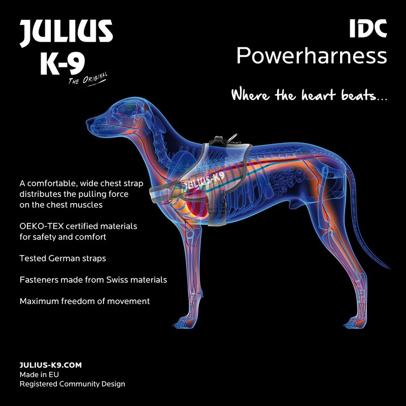 Julius-K9, IDC Powerharness, Dog Harness