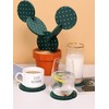 Coasters Cactus Set of 6 DIY Funny Coasters for Drinks