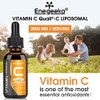 Liposomal Vitamin C Liquid 2000mg – High Absorption Vegan Formula