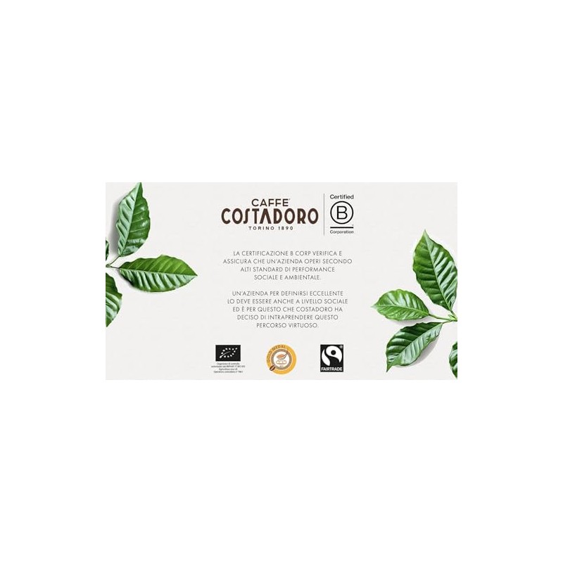 Costadoro Caffè Solubile, 1 Barattolo da 100g di Caffè Liofilizzato,