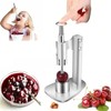 Cherry Pitter Remover Tool Stainless Steel Manual Jujube Pitter, Portable