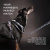 NeoFlex Premium Dog Leash - Stylish Leash for Medium, Small