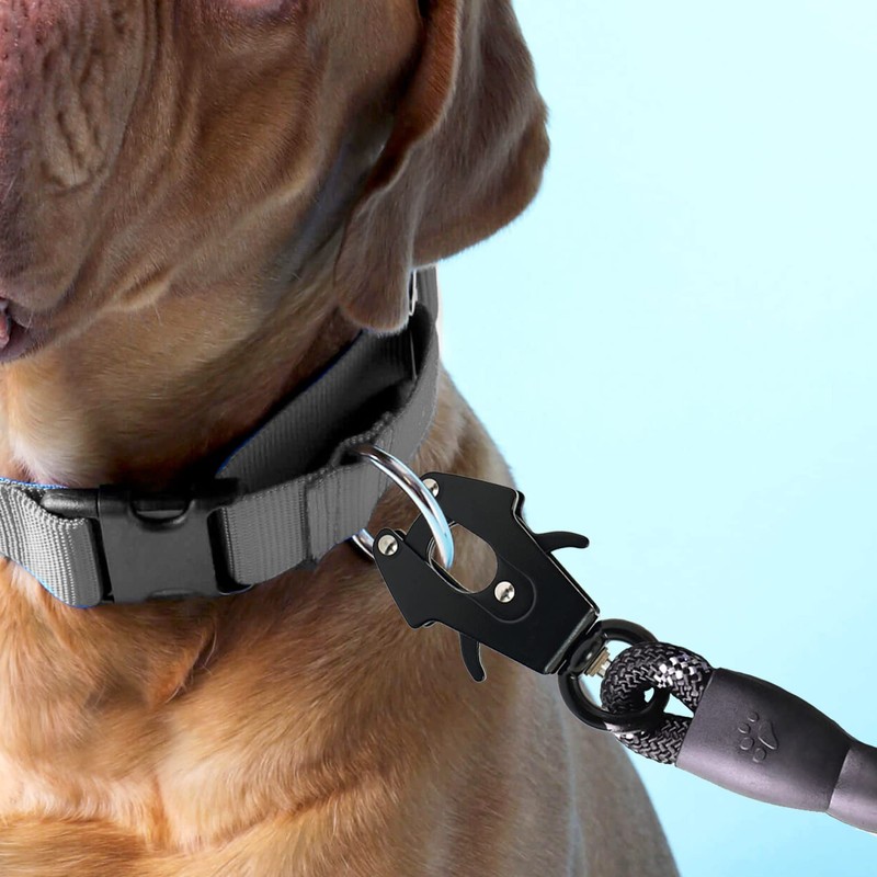 Heavy Duty Dog Leash Clips - Small Quick Release and