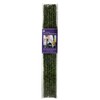 SuperMoss (22051) Moss Stakes Preserved, Fresh Green, 24" (6 pack)