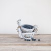 Creative Co-Op Stoneware Chicken Shaped Sponge Holder/Soap Dish with Reactive