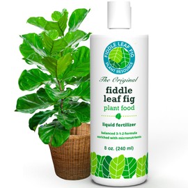 Fiddle Leaf Fig Plant Food – 3‑1‑2 Balanced NPK Liquid Fertilizer for Larger Leaves, Stronger Roots & Steady, Vibrant Growth | Suitable for All Ficus Including Ficus Lyrata | Made in USA | 8 oz