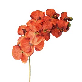 Qingriver 6 Stems 37.4'' Vintage Artificial Phalaenopsis Silk Orchids Flowers for Home Wedding Decor (Orange)