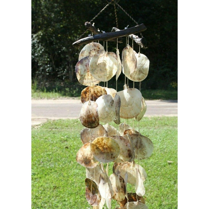 Large Seashell Windchime, Makes Mellow Tropical Breeze Sounds in The