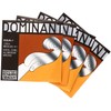 THOMASTIK Dominant ドミナント 1/2バイオリン弦セット 135 1/2