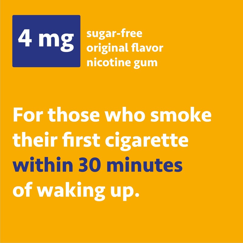 Wellness Basics - 4mg Nicotine Gum (Fruit Flavor - 160