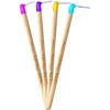 Bamboo Right Angle Piksters | Interdental Brushes | Sizes 00,1,3,5