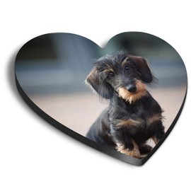 1 x Heart MDF Magnets - Wire Haired Dachshund Puppy 2730