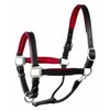 Perri's Horse Soft Padded Leather Halter, Black/Red