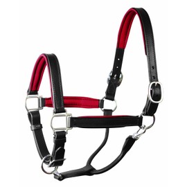 Perri's Horse Soft Padded Leather Halter, Black/Red