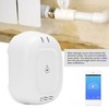 Smart Water Leak Sensor Wireless Leakage Alarm for TUYA Zigbee