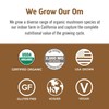 Om Mushroom Superfood Mushroom Coffee Latte Blend - Size: 30