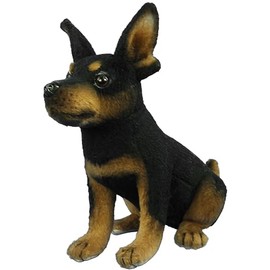 BH8423 HANSA TC Pinscher 16