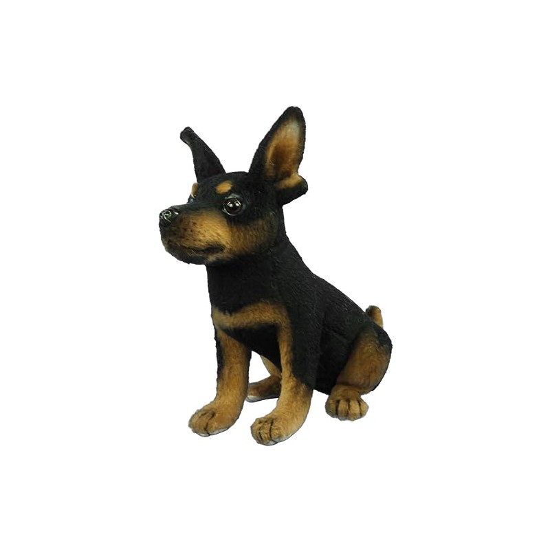 BH8423 HANSA TC Pinscher 16