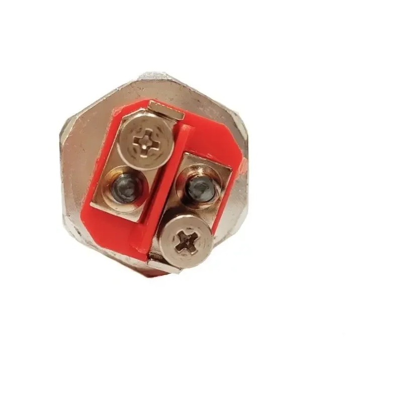 Resistencia Eléctrica Boiler 240v 4500w ( Calorex / Rheem )