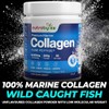 Marine Collagen Powder 10000mg | Type 1 & 3 Unflavoured