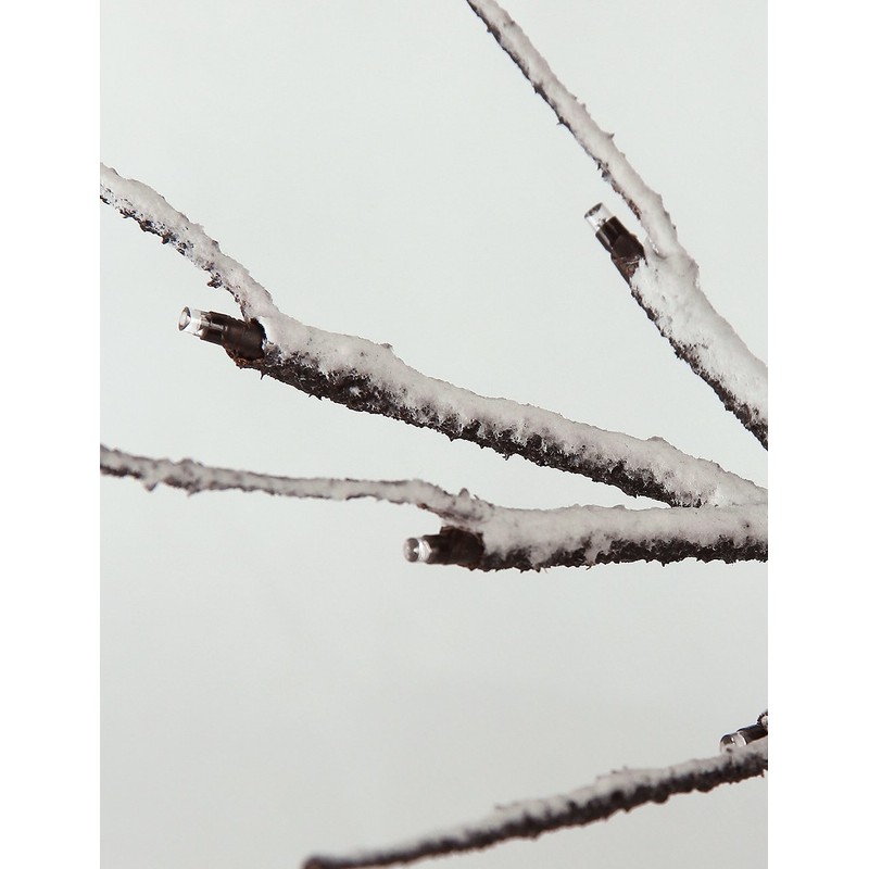 LIGHTSHARE Lighted Snow Dusted Bonsai Tree with 24 LED Lights