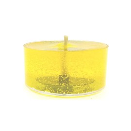 24 Pack Of JASMINE Scented Gentle Aroma Sweet Exotic Floral Up To 8 Hour Tea Lights By The Gel Candle Company™