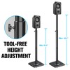 Mounting Dream Speaker Stands - Height Adjustable Speaker Stand for