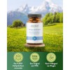 BitterKraft! Connective Tissue Complex - 90 Capsules - Nettle Complex