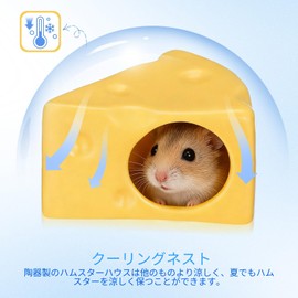 LIOOBO Hamster Hideaway Ceramic Cheese Mold Pet Bed Cooling Effect for Small Animals 3.94 x 3.35 x 2.36 inch Summer Cool Easy to Clean