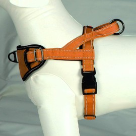 Max and Neo Passport Reflective Dog Harness - We Donate a Harness to a Dog Rescue for Every Harness Sold (Large (23"-30" Chest Girth), Orange)