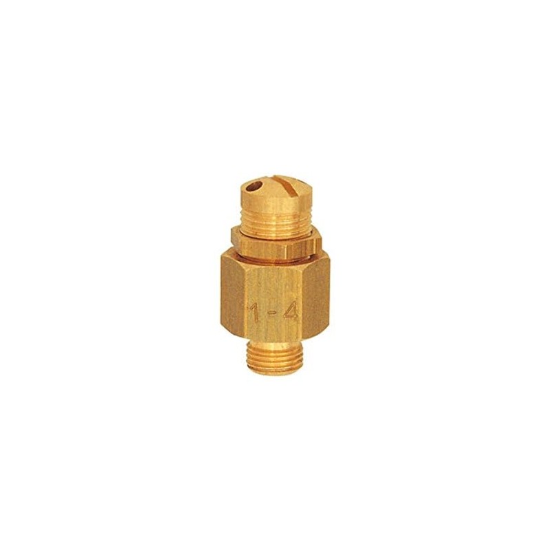 RIEGLER – Safety Valve Mini, G 1/4, 3 – 7