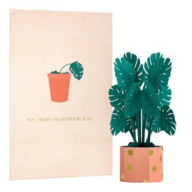 Lovepop Mother's Day Pop-Up Card with Mini Paper Bouquet for Her - 3D Greeting Cards for Mom, Wife, Women - 5" x 7 Plant Card - Blank Notecard & Envelope Included