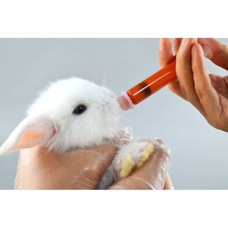 Pet Feeding Bottle. Pet Syringe. Pet Puppy Bottles. Dog and