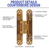 LOPYXBR 2 PCS 6 Inch Hidden Door Hinge Heavy Duty