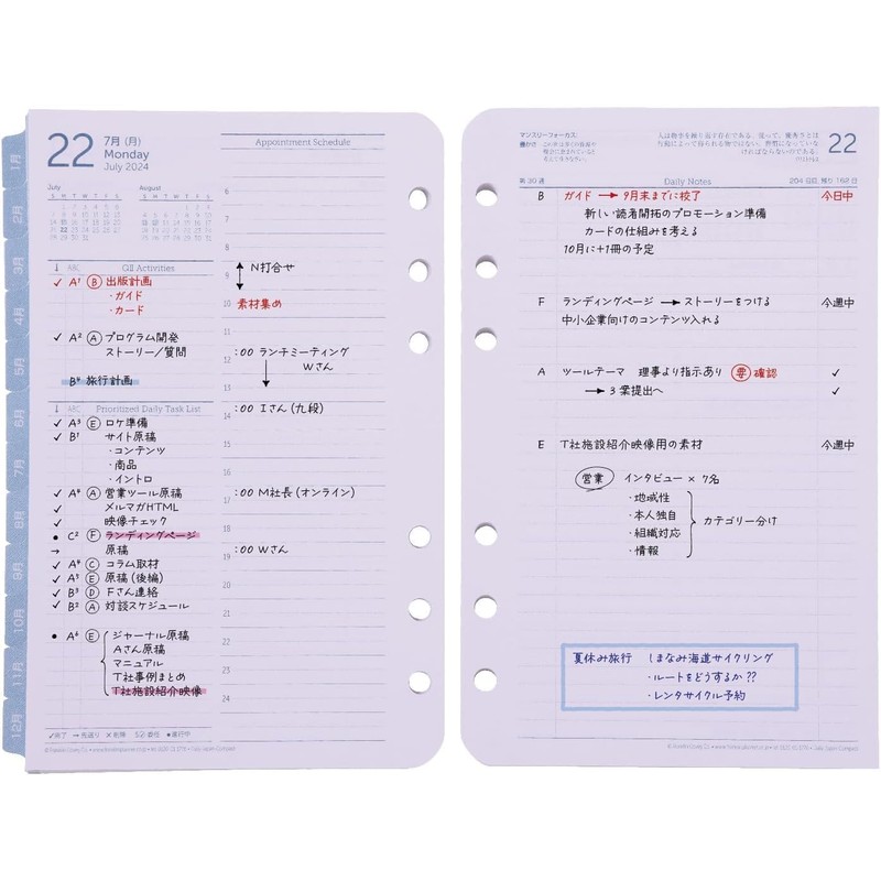 Franklin Planner Original Daily Refill, 12 Month Edition, Starts July