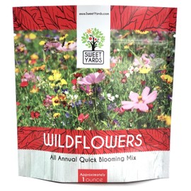 Wildflower Seeds Annual Quick Blooming Mix - Large 1 Ounce Packet Over 7,500 Open Pollinated Seeds