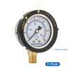MEASUREMAN Pool Filter Pressure Gauge Replacement, 0-60 PSI, 2-inch Dial,