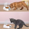 Sonew Comedero Automático para Gatos, Cuenco Extraíble, Comedero para Perros