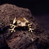 2PCS Brass Ornament, Frog Desk Crafts | Home Decor Exquisite
