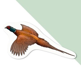 4 x Small 50mm 'Flying Pheasant' Permanent Sticker Decals for Cars/Windows/Bins/Walls etc (DW00067753)