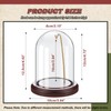 Beeveer 2 Pcs Pocket Watch Glass Display with Hooks Dome