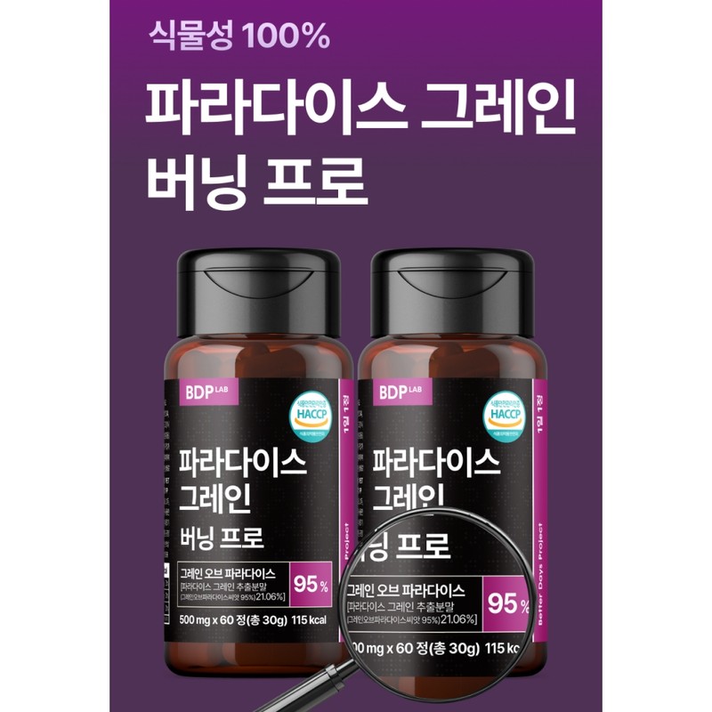 BDP Lab Paradise Grain Burning Pro 60 tablets, 5 pcs