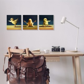 Stupell Industries Funny Yoga Chick Trio Farm Birds Stretching Poses