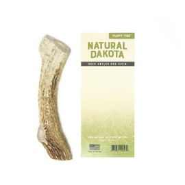 Natural Dakota Premium Deer Antler Chew Toys (Medium) Puppy Tine