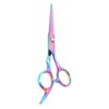 Professional Hair Scissors Barber Hair Cutting Shears Stainless Steel Hairdressing